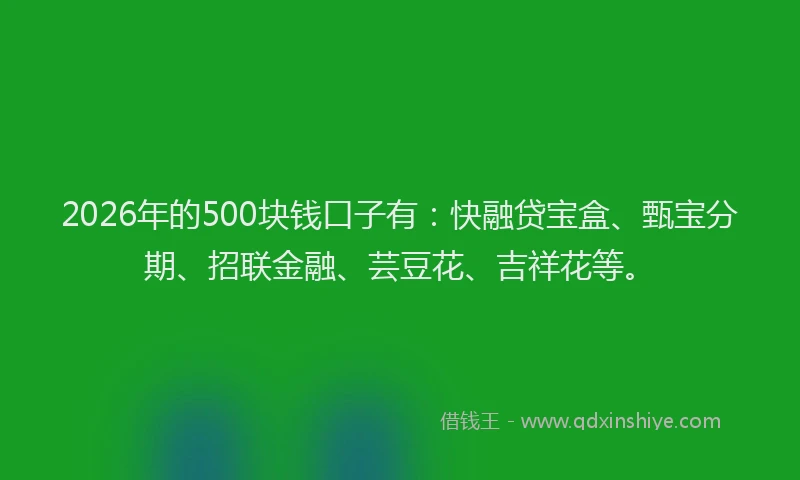 2026年的500块钱口子有：快融贷宝盒、甄宝分期、招联金融、芸豆花、吉祥花等。