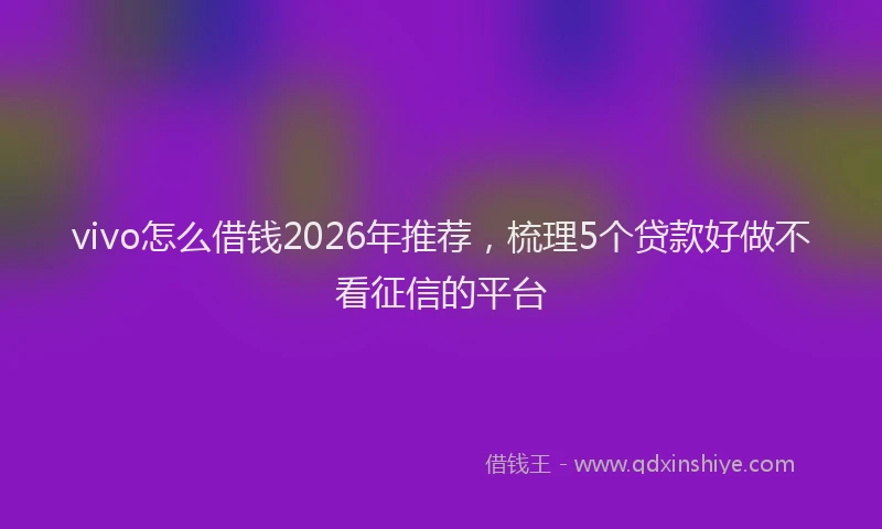 vivo怎么借钱2026年推荐,梳理5个贷款好做不看征信的平台