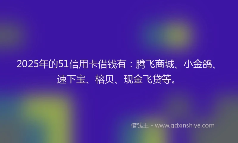 2025年的51信用卡借钱有：腾飞商城、小金鸽、速下宝、榕贝、现金飞贷等。