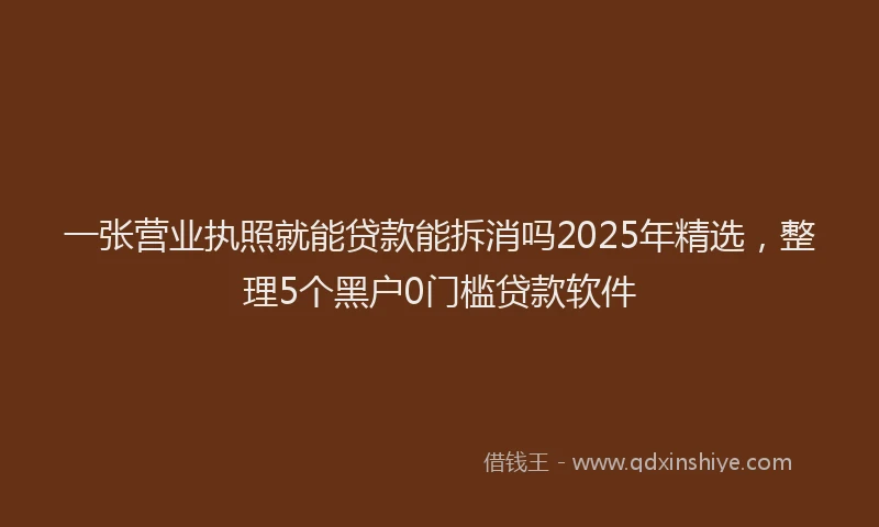 一张营业执照就能贷款能拆消吗2025年精选，整理5个黑户0门槛贷款软件