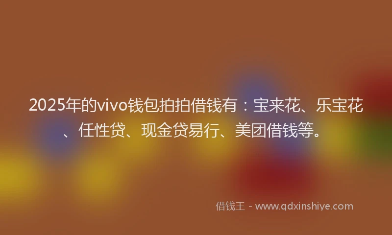 2025年的vivo钱包拍拍借钱有：宝来花、乐宝花、任性贷、现金贷易行、美团借钱等。