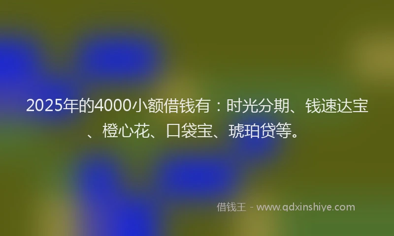 2025年的4000小额借钱有：时光分期、钱速达宝、橙心花、口袋宝、琥珀贷等。