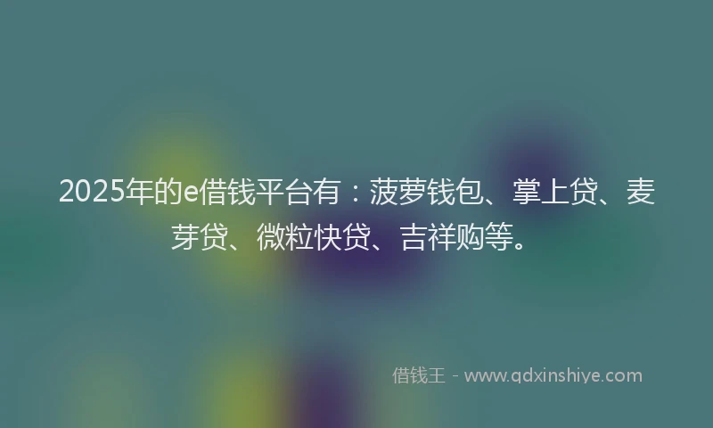 2025年的e借钱平台有：菠萝钱包、掌上贷、麦芽贷、微粒快贷、吉祥购等。