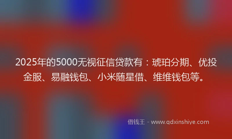 2025年的5000无视征信贷款有：琥珀分期、优投金服、易融钱包、小米随星借、维维钱包等。