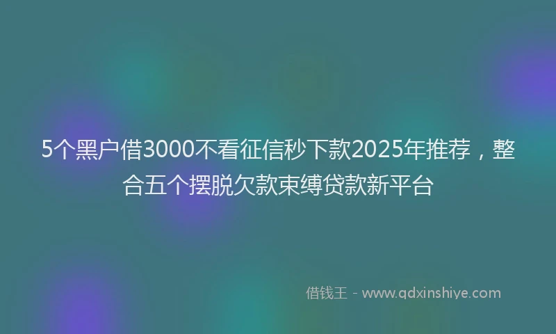 5个黑户借3000不看征信秒下款2025年推荐，整合五个摆脱欠款束缚贷款新平台