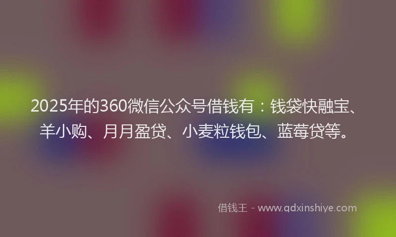 2025年的360微信公众号借钱有：钱袋快融宝、羊小购、月月盈贷、小麦粒钱包、蓝莓贷等。