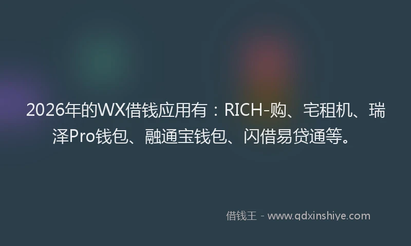 2026年的WX借钱应用有：RICH-购、宅租机、瑞泽Pro钱包、融通宝钱包、闪借易贷通等。