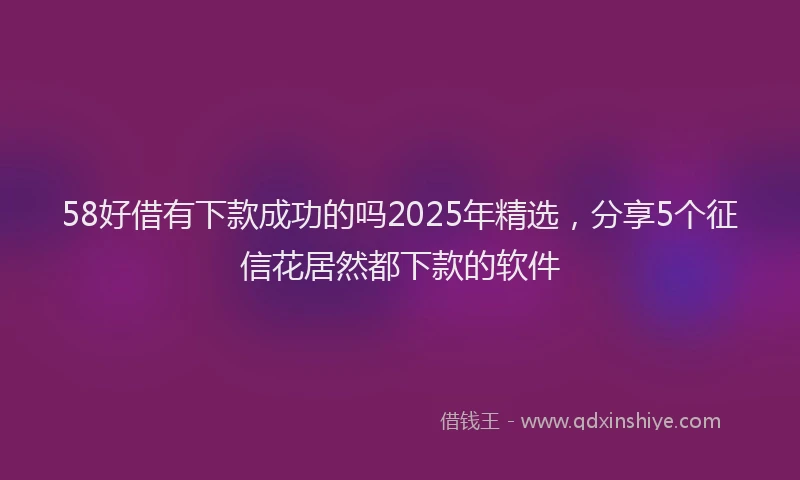 58好借有下款成功的吗2025年精选，分享5个征信花居然都下款的软件