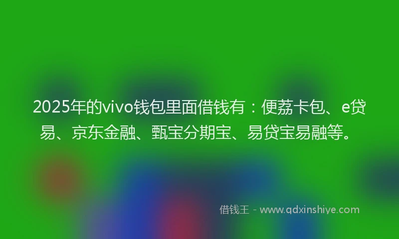 2025年的vivo钱包里面借钱有：便荔卡包、e贷易、京东金融、甄宝分期宝、易贷宝易融等。