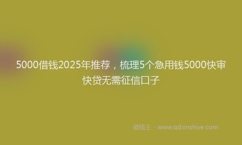 5000借钱2025年推荐，梳理5个急用钱5000快审快贷无需征信口子