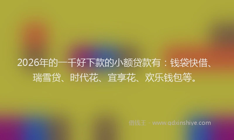 2026年的一千好下款的小额贷款有：钱袋快借、瑞雪贷、时代花、宜享花、欢乐钱包等。