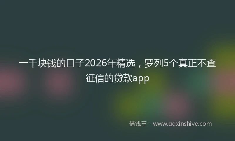 一千块钱的口子2026年精选，罗列5个真正不查征信的贷款app
