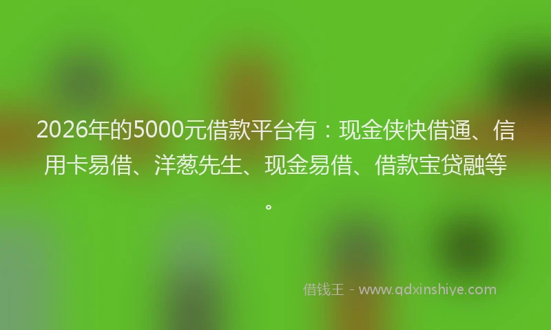 2026年的5000元借款平台有：现金侠快借通、信用卡易借、洋葱先生、现金易借、借款宝贷融等。