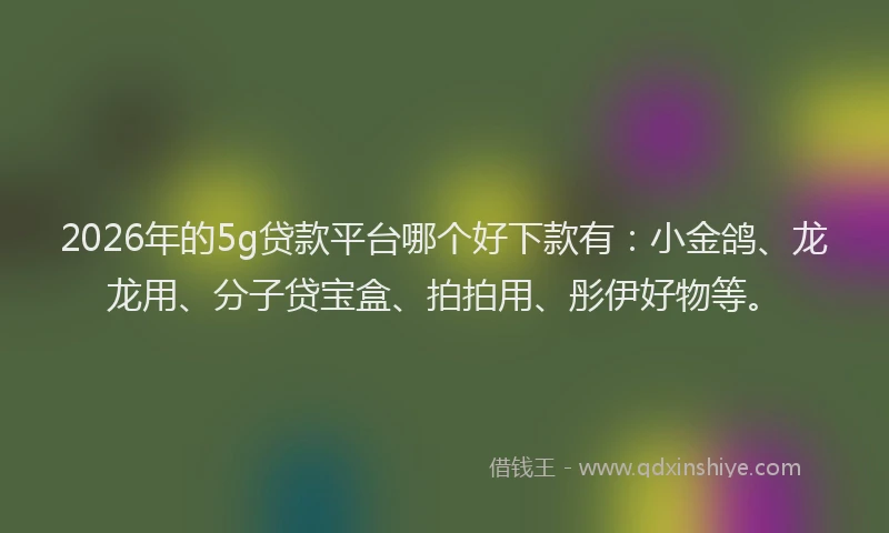 2026年的5g贷款平台哪个好下款有：小金鸽、龙龙用、分子贷宝盒、拍拍用、彤伊好物等。
