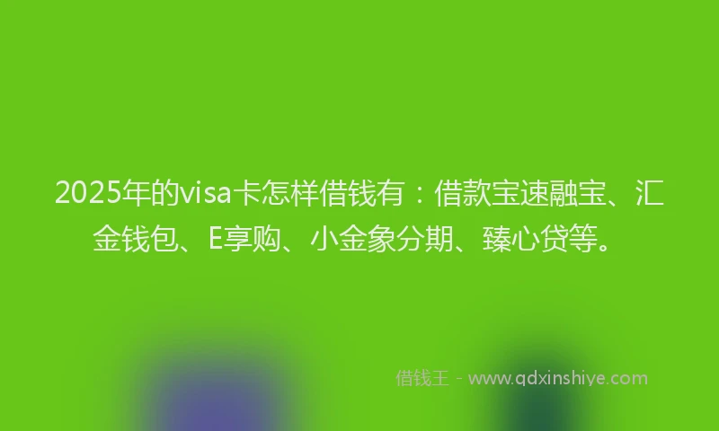 2025年的visa卡怎样借钱有：借款宝速融宝、汇金钱包、E享购、小金象分期、臻心贷等。