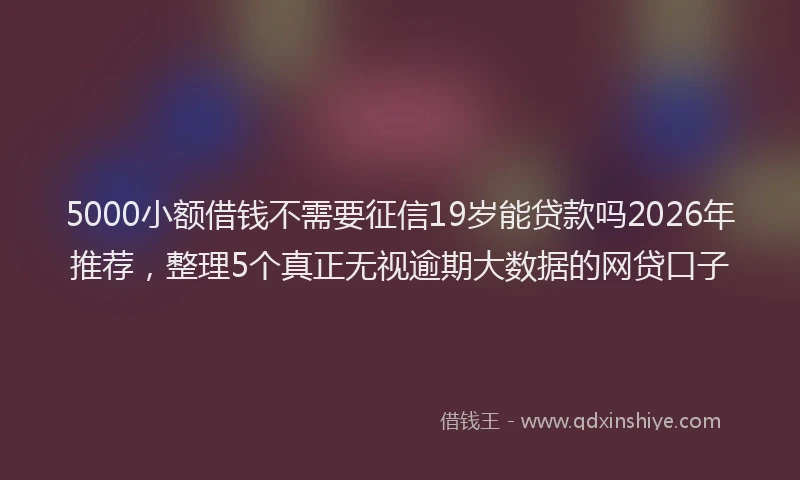 5000小额借钱不需要征信19岁能贷款吗2026年推荐，整理5个真正无视逾期大数据的网贷口子