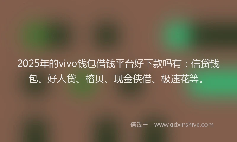 2025年的vivo钱包借钱平台好下款吗有：信贷钱包、好人贷、榕贝、现金侠借、极速花等。