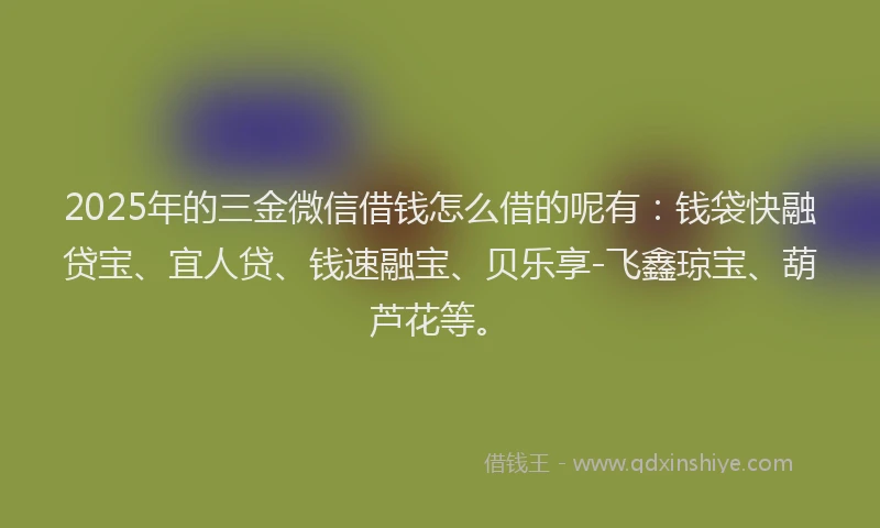 2025年的三金微信借钱怎么借的呢有：钱袋快融贷宝、宜人贷、钱速融宝、贝乐享-飞鑫琼宝、葫芦花等。