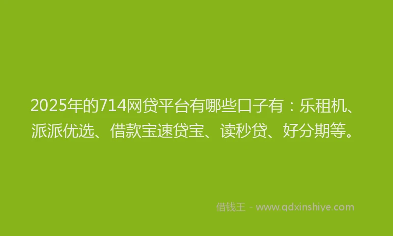 2025年的714网贷平台有哪些口子有：乐租机、派派优选、借款宝速贷宝、读秒贷、好分期等。