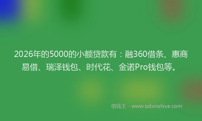 2026年的5000的小额贷款有：融360借条、惠商易借、瑞泽钱包、时代花、金诺Pro钱包等。