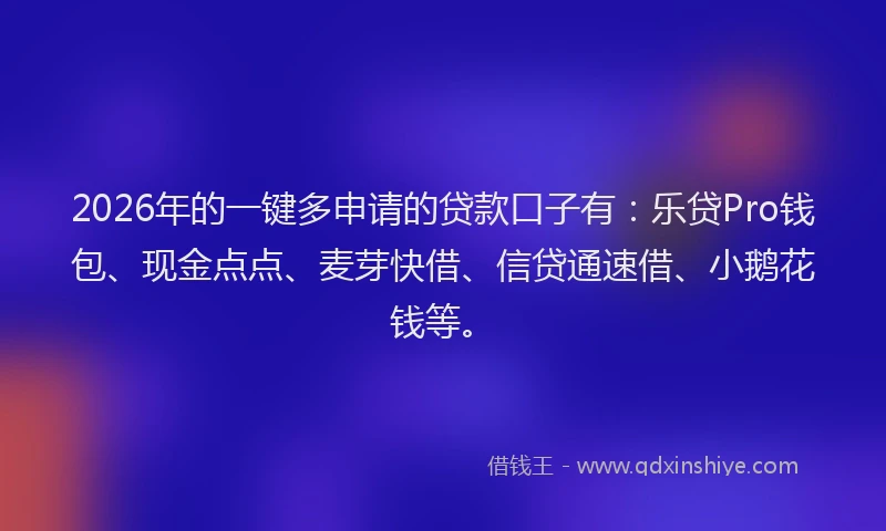2026年的一键多申请的贷款口子有：乐贷Pro钱包、现金点点、麦芽快借、信贷通速借、小鹅花钱等。