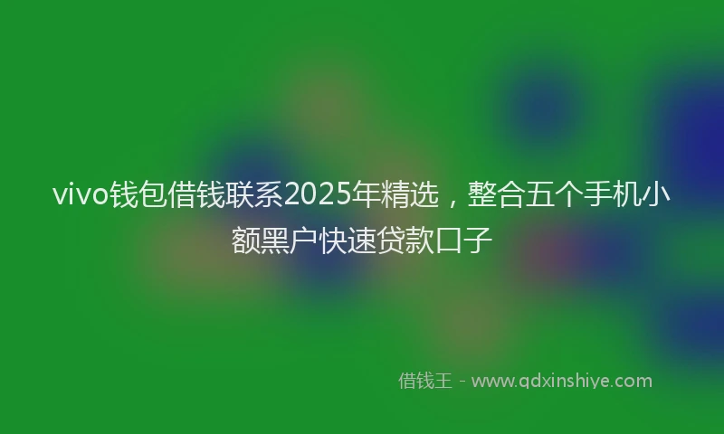 vivo钱包借钱联系2025年精选，整合五个手机小额黑户快速贷款口子