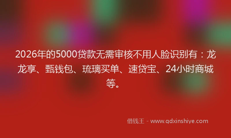 2026年的5000贷款无需审核不用人脸识别有：龙龙享、甄钱包、琉璃买单、速贷宝、24小时商城等。