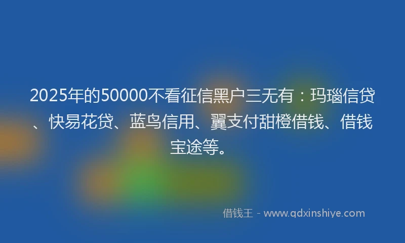 2025年的50000不看征信黑户三无有：玛瑙信贷、快易花贷、蓝鸟信用、翼支付甜橙借钱、借钱宝途等。