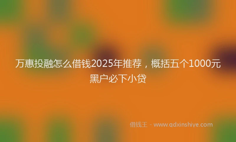 万惠投融怎么借钱2025年推荐，概括五个1000元黑户必下小贷