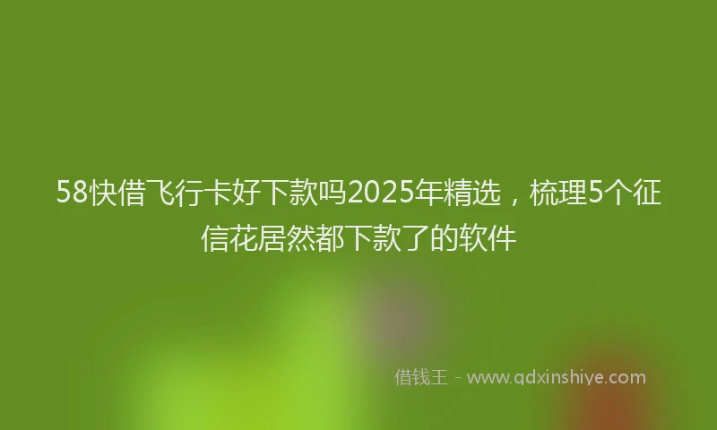 58快借飞行卡好下款吗2025年精选，梳理5个征信花居然都下款了的软件
