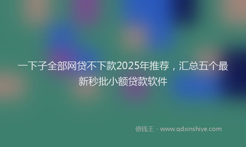 一下子全部网贷不下款2025年推荐，汇总五个最新秒批小额贷款软件