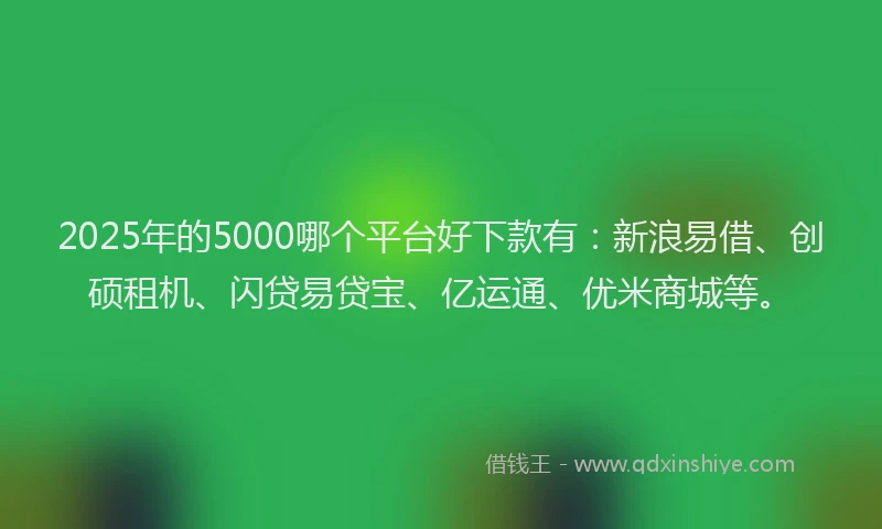 2025年的5000哪个平台好下款有：新浪易借、创硕租机、闪贷易贷宝、亿运通、优米商城等。