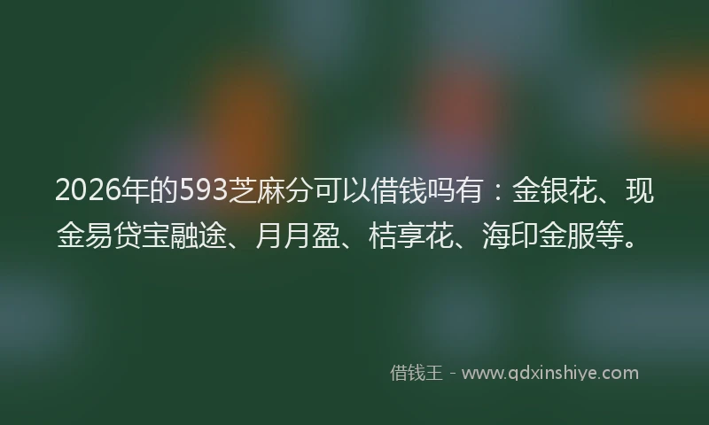 2026年的593芝麻分可以借钱吗有：金银花、现金易贷宝融途、月月盈、桔享花、海印金服等。