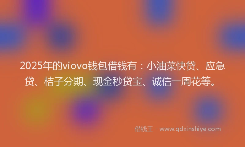 2025年的viovo钱包借钱有：小油菜快贷、应急贷、桔子分期、现金秒贷宝、诚信一周花等。