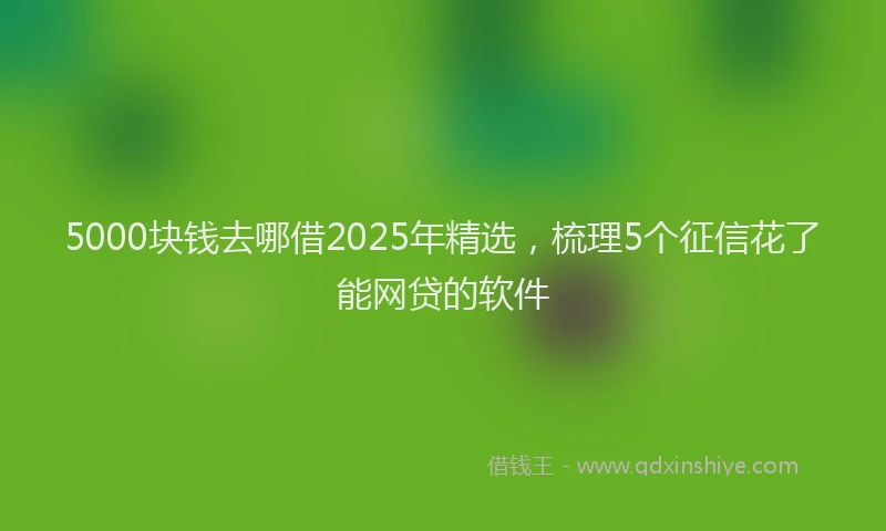 5000块钱去哪借2025年精选，梳理5个征信花了能网贷的软件