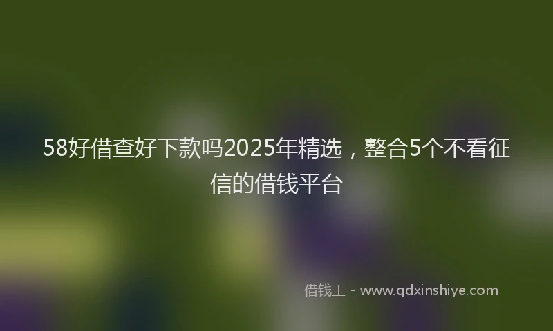 58好借查好下款吗2025年精选，整合5个不看征信的借钱平台