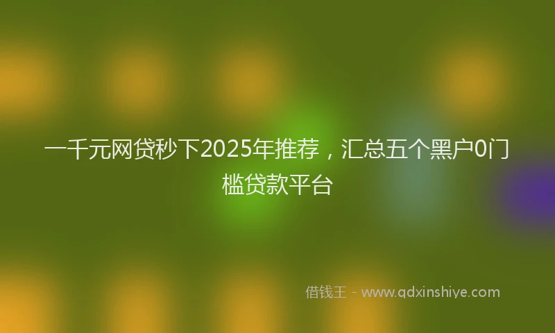 一千元网贷秒下2025年推荐，汇总五个黑户0门槛贷款平台