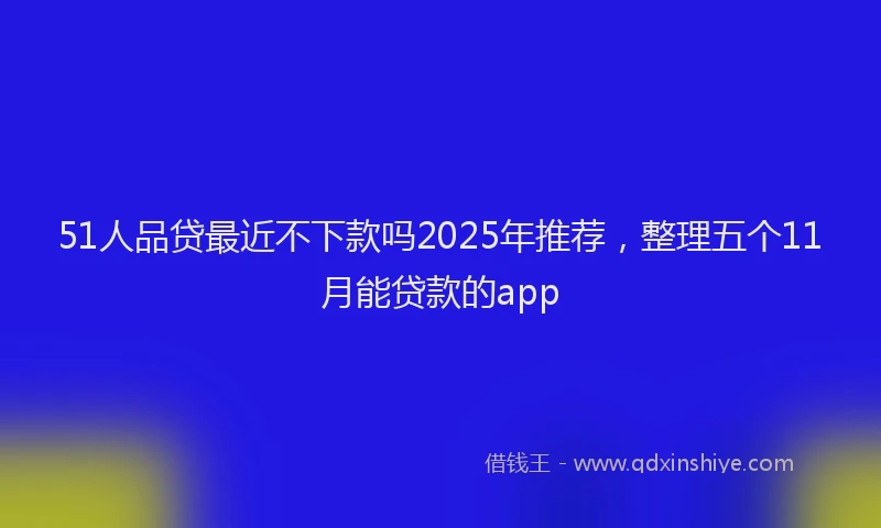 51人品贷最近不下款吗2025年推荐，整理五个11月能贷款的app