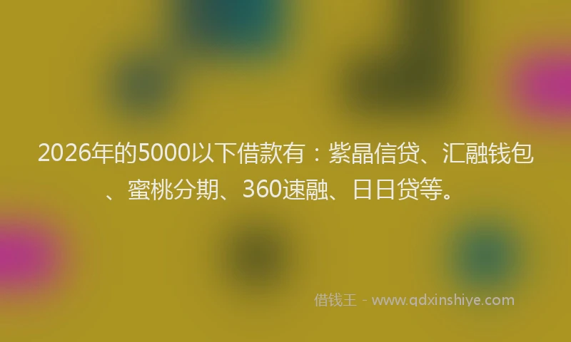 2026年的5000以下借款有：紫晶信贷、汇融钱包、蜜桃分期、360速融、日日贷等。