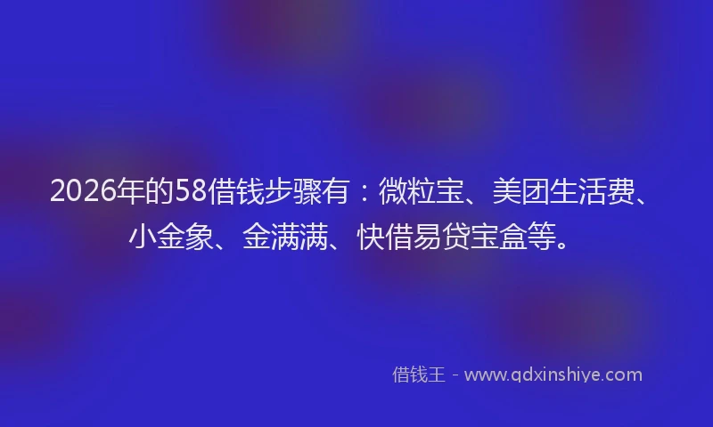 2026年的58借钱步骤有：微粒宝、美团生活费、小金象、金满满、快借易贷宝盒等。