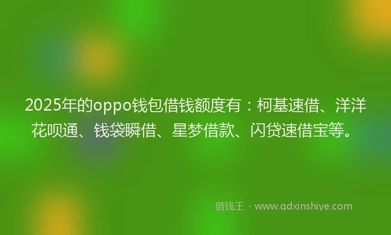 2025年的oppo钱包借钱额度有:柯基速借、洋洋花呗通、钱袋瞬借、星梦借款、闪贷速借宝等。