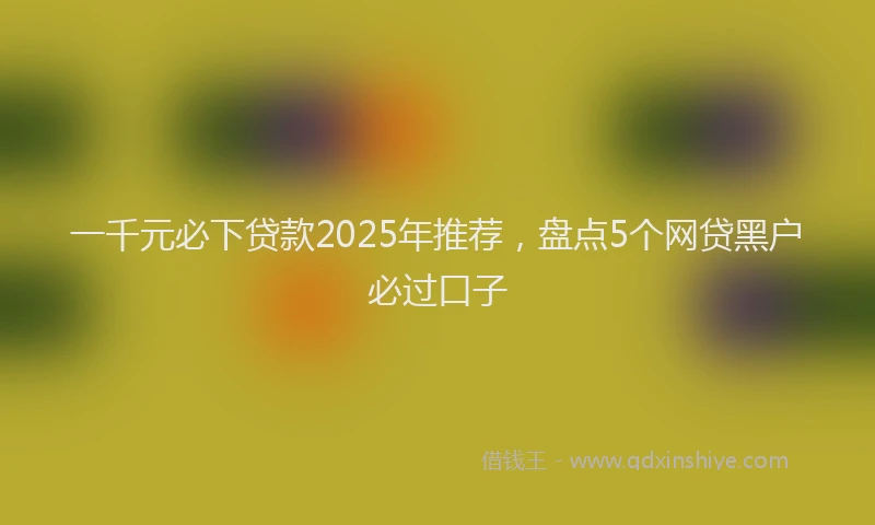 一千元必下贷款2025年推荐，盘点5个网贷黑户必过口子
