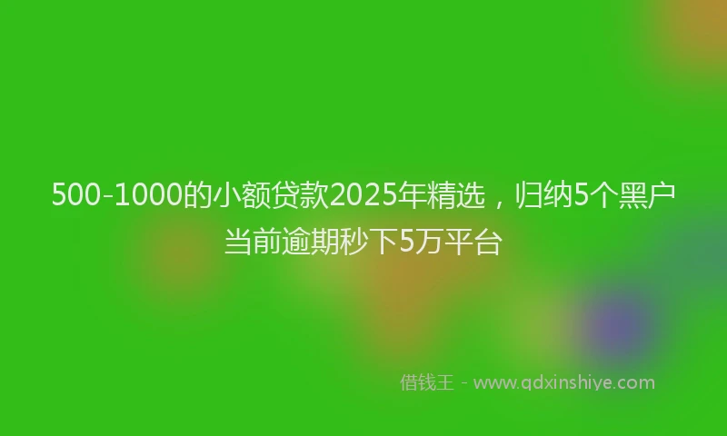 500-1000的小额贷款2025年精选，归纳5个黑户当前逾期秒下5万平台