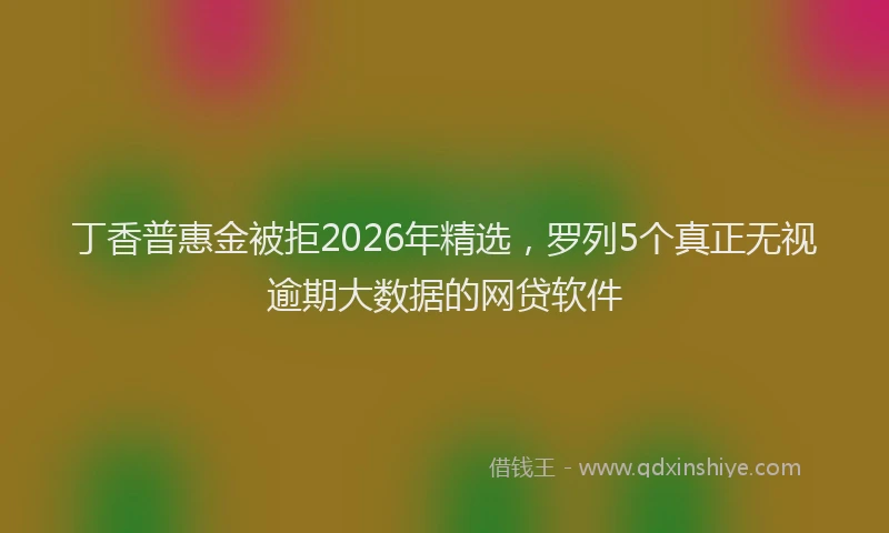 丁香普惠金被拒2026年精选，罗列5个真正无视逾期大数据的网贷软件