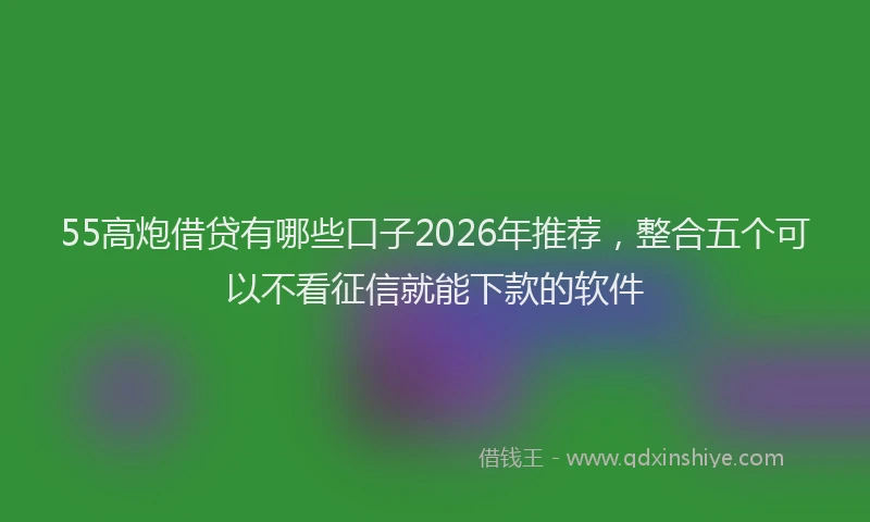 55高炮借贷有哪些口子2026年推荐,整合五个可以不看征信就能下款的软件