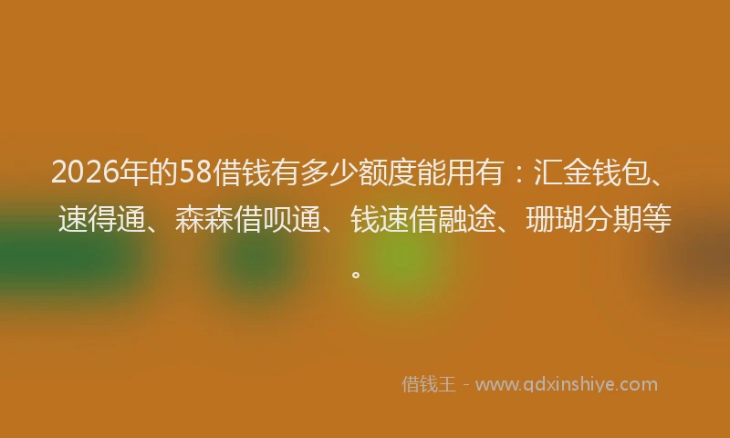 2026年的58借钱有多少额度能用有：汇金钱包、速得通、森森借呗通、钱速借融途、珊瑚分期等。