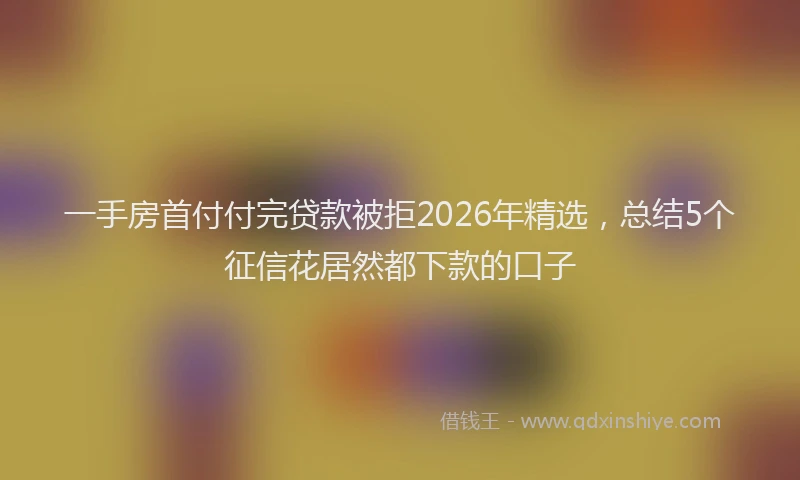 一手房首付付完贷款被拒2026年精选，总结5个征信花居然都下款的口子