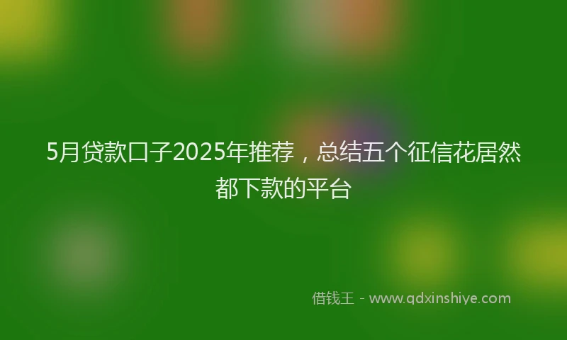 5月贷款口子2025年推荐，总结五个征信花居然都下款的平台