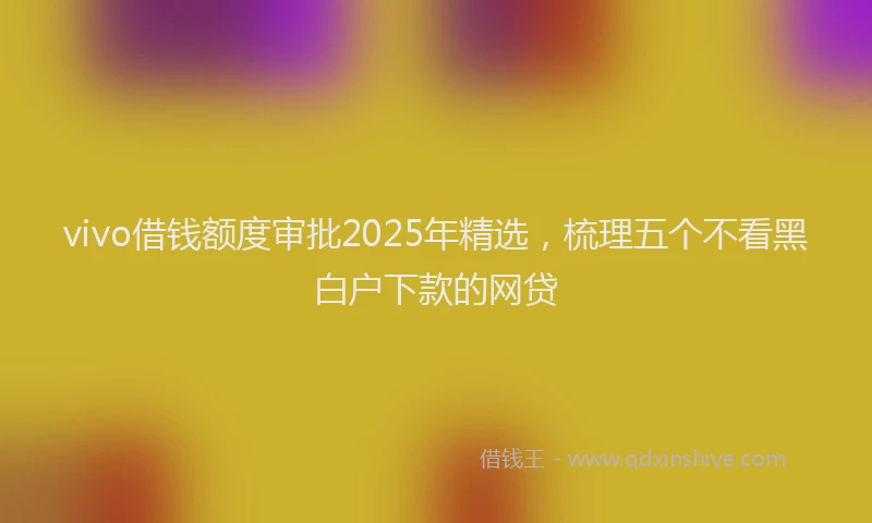 vivo借钱额度审批2025年精选，梳理五个不看黑白户下款的网贷