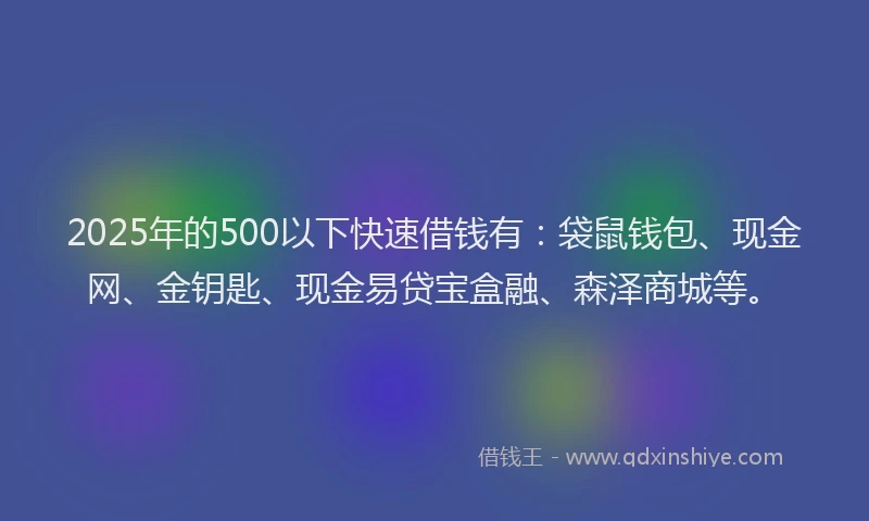 2025年的500以下快速借钱有：袋鼠钱包、现金网、金钥匙、现金易贷宝盒融、森泽商城等。